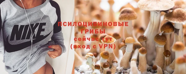 mdpv Армянск